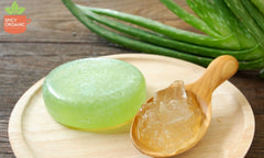 aloe vera for hair