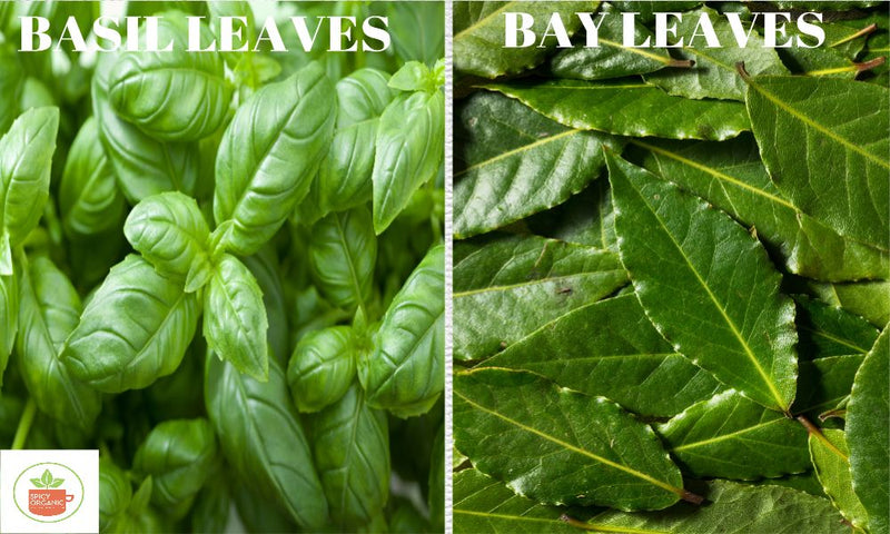 Are Bay Leaves the same as Basil Leaves?