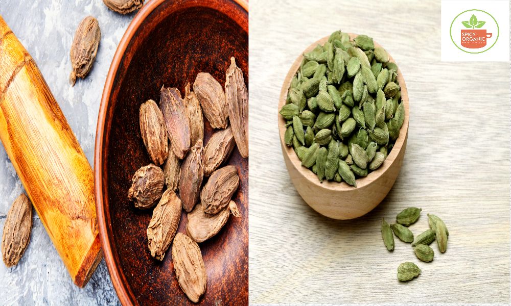 Difference Between Black Cardamom and Green Cardamom. Usages and Benef