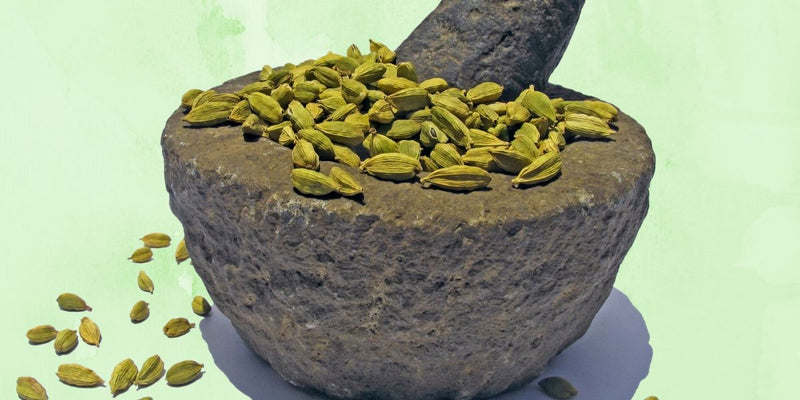 Cardamom Pods - A Spice Worth Exploring