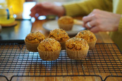 Blog posts Orange Muffins with Organic Turmeric Powder- Spicyorganic.com
