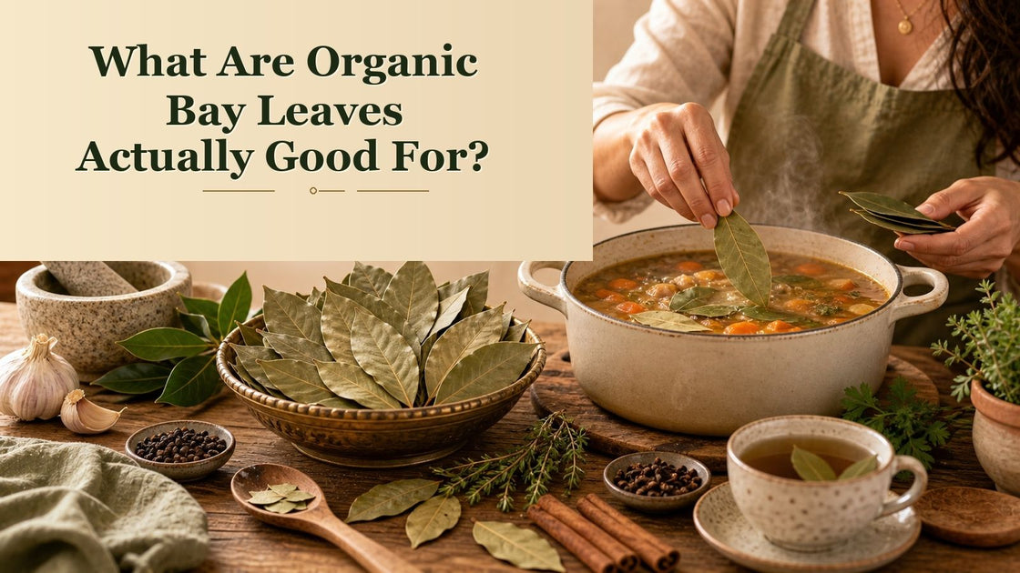 What Are Organic Bay Leaves Actually Good For? | Spicy Organic