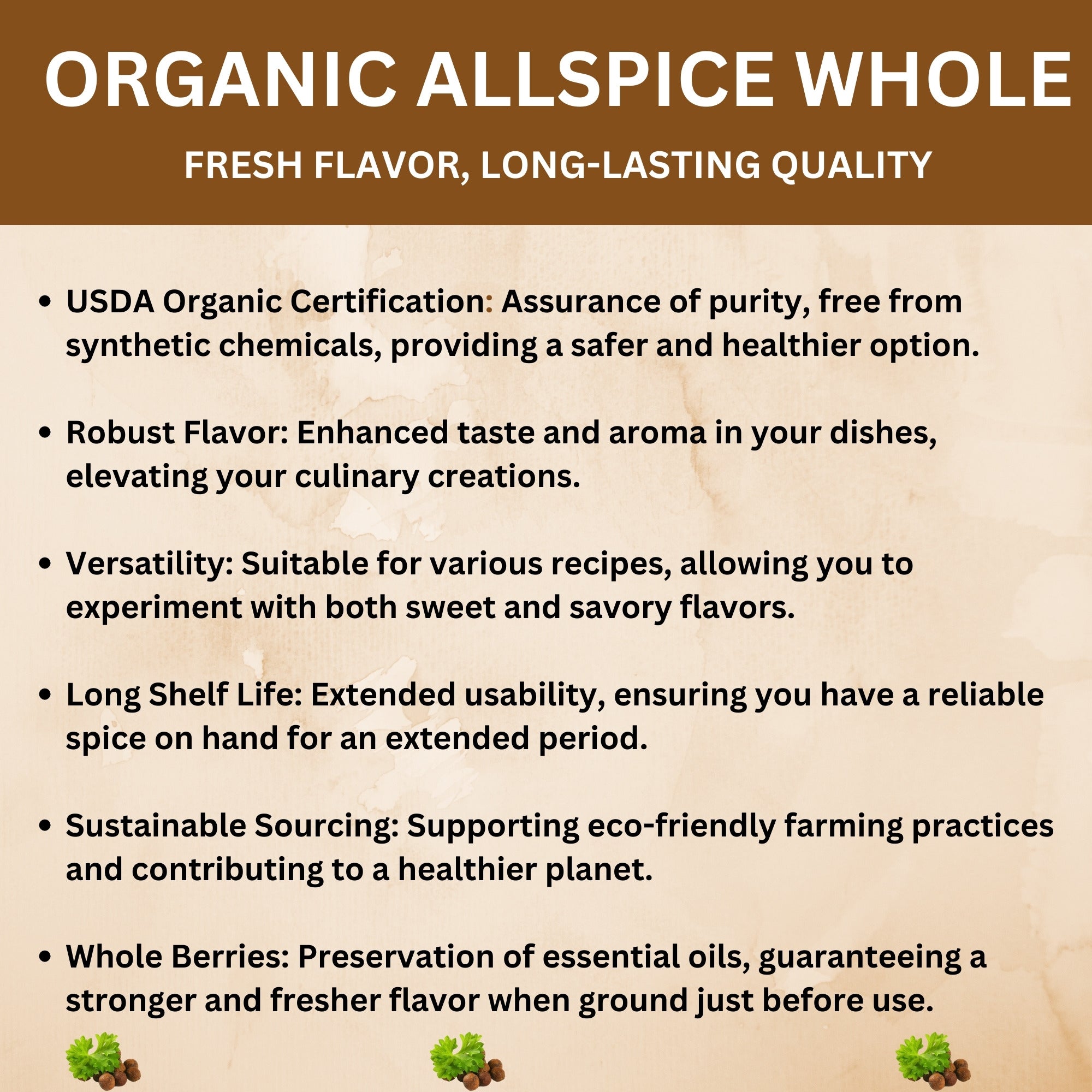 Bulk Organic Allspice Berries ǀ Whole Allspice