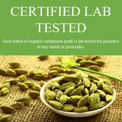 SPICY ORGANIC Green Cardamom Pods - 100% USDA Organic -Non-GMO Fresh Cardamom Seeds.
