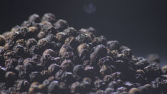 Organic Black Peppercorns: Elevate Your Dishes with Bold and Rich Flavor - Ideal for Cooking and Seasoning